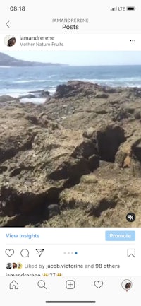 a picture of a rocky beach with a person on a phone